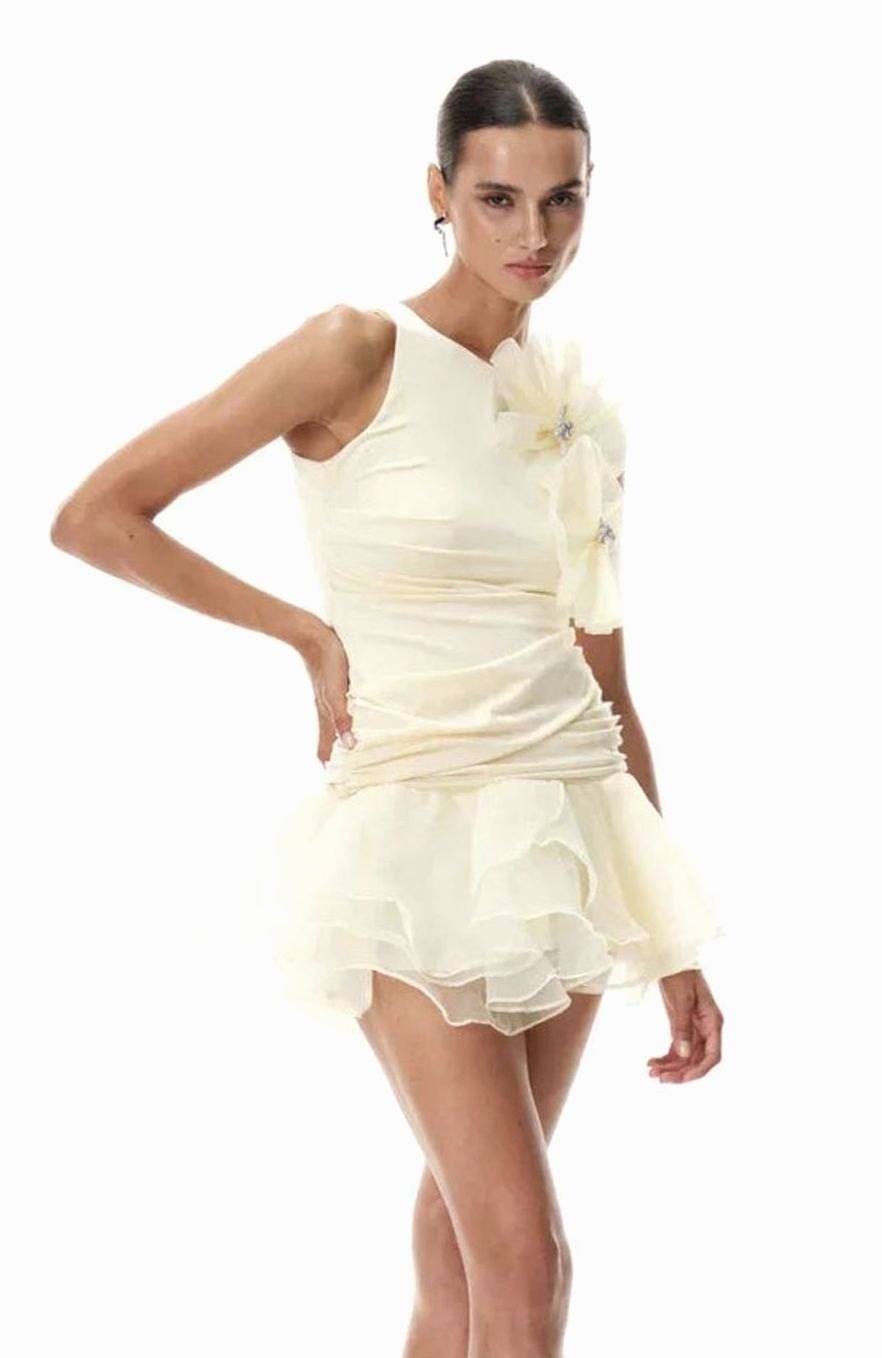 Women's Floral Ruffle Pleated Sleeveless Formal Mini Dress