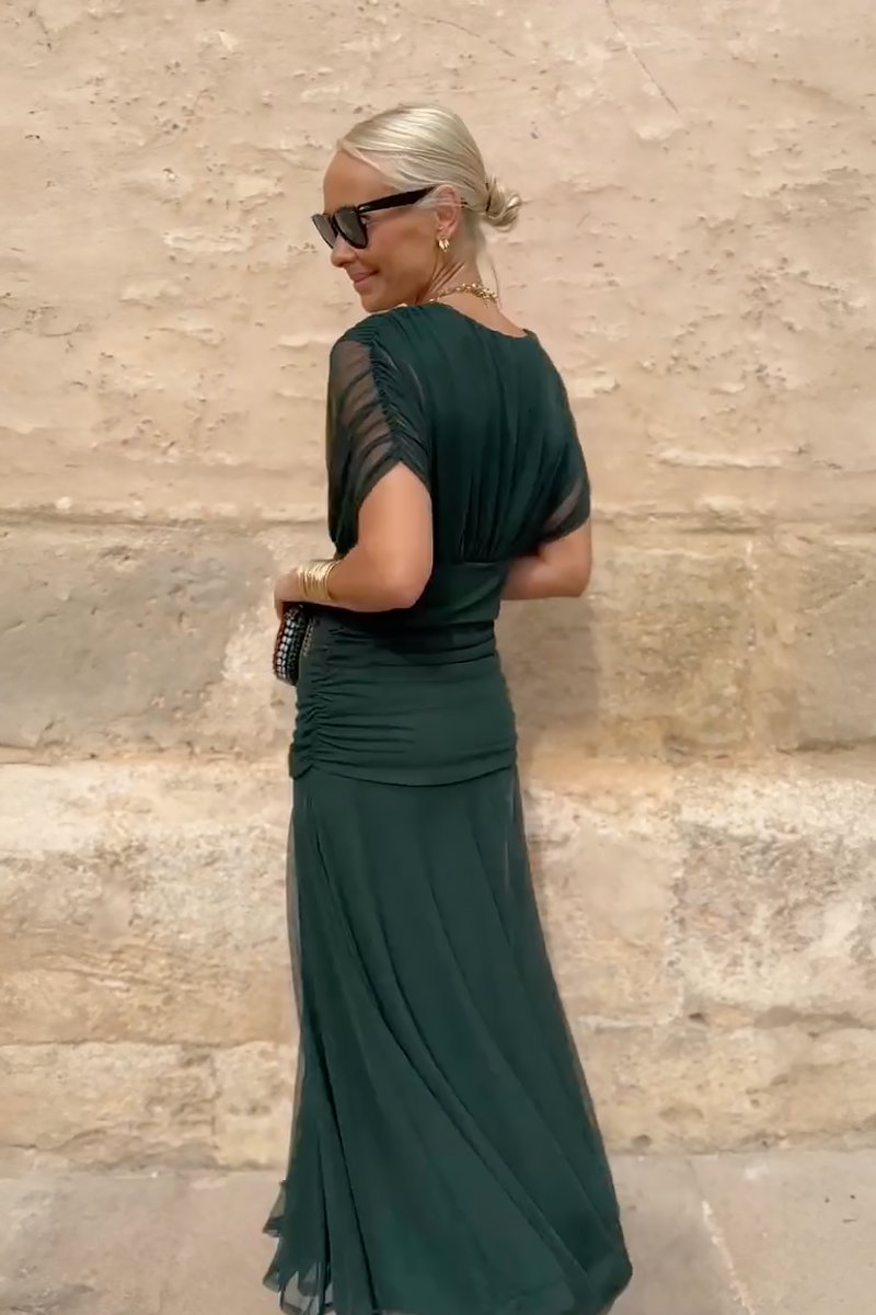 Women's V-Neck Pleated Chiffon Formal & Evening Dress Maxi Gown